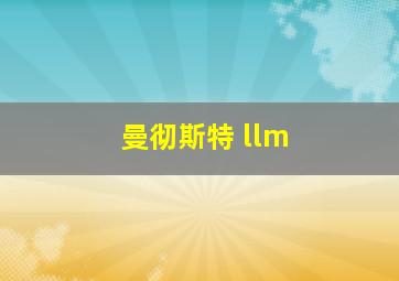 曼彻斯特 llm